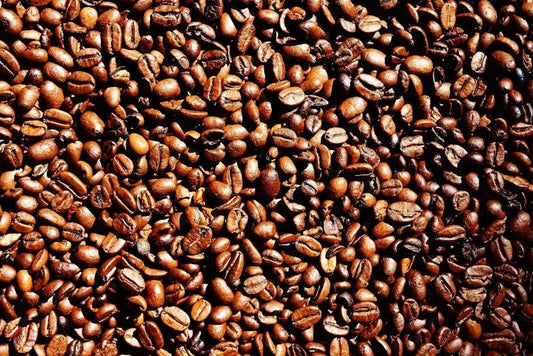8 Steps to Enjoy Your Roast-to-Order Coffee at its Best