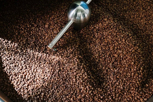The Journey of Single Origin Coffee: From Bean to Brew