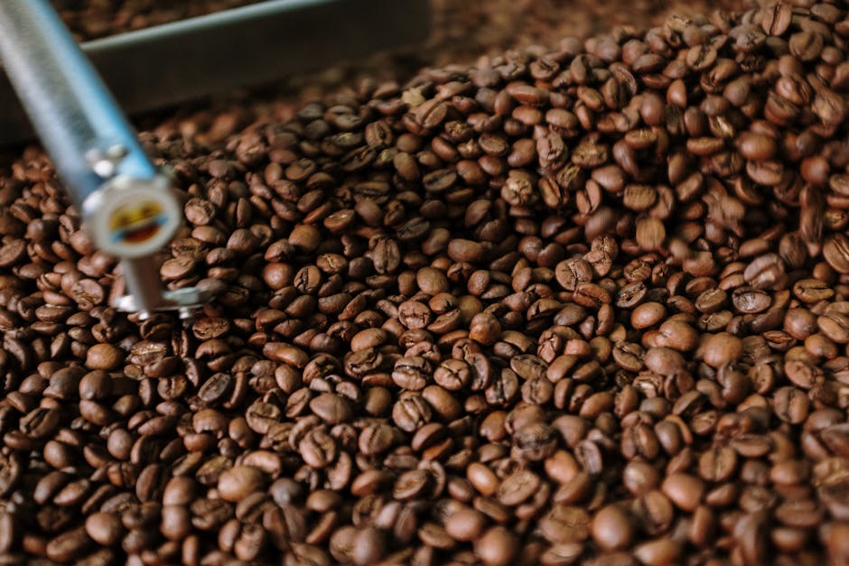 The Journey of Bali Coffee: From Bean to Cup