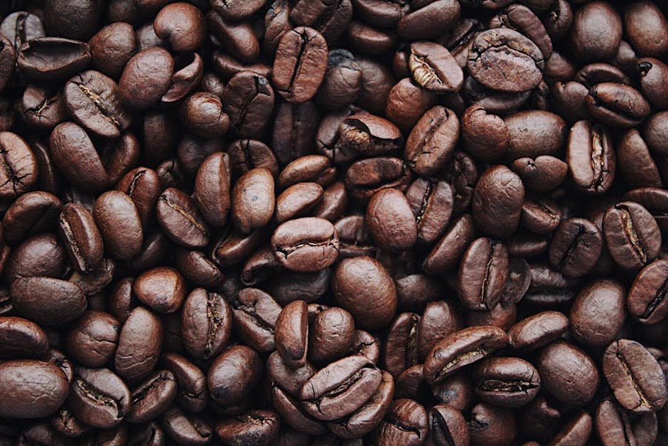 How to Store Your Whole Bean Coffee to Preserve Freshness